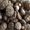 Quality Dried Shiitake Mushrooms